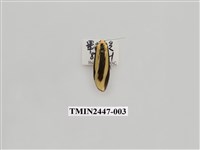 藏品(雙帶短苔蛾)的圖片